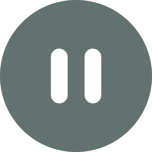 Pause Icon
