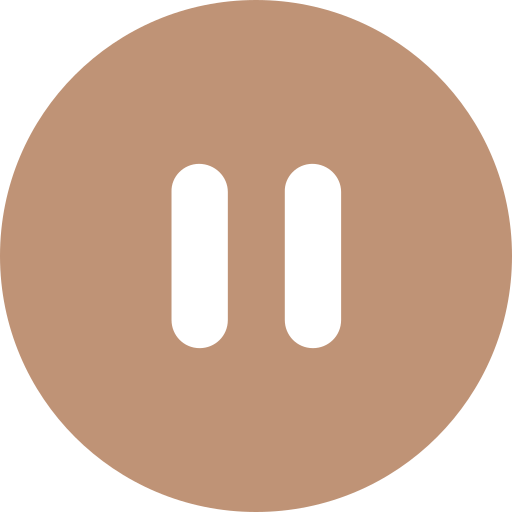 Pause Icon