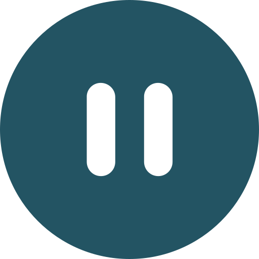 Pause Icon