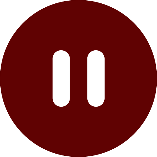 Pause Icon