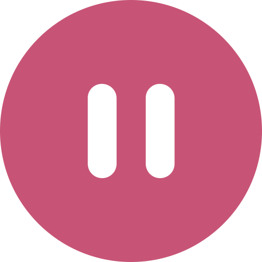 Pause Icon