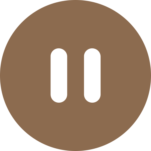 Pause Icon